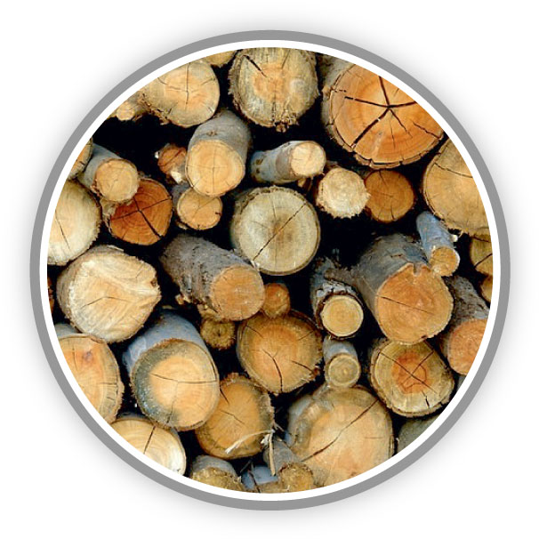 Madera Rollizo